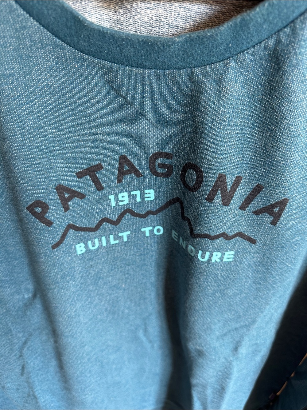 Patagonia Teal Crewneck Logo Sweatshirt - Picture 3 of 5